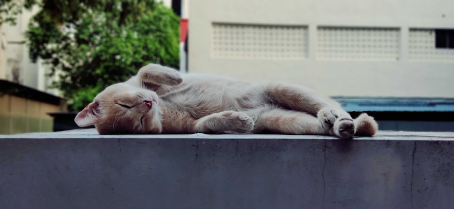 Photo tiredness