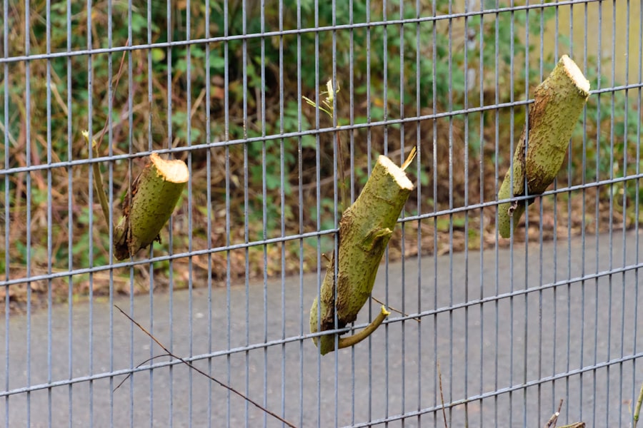 Photo health maintenance