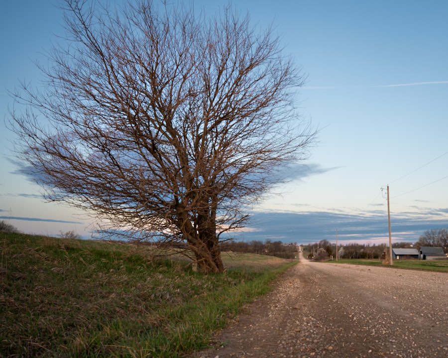 Photo peacefulness