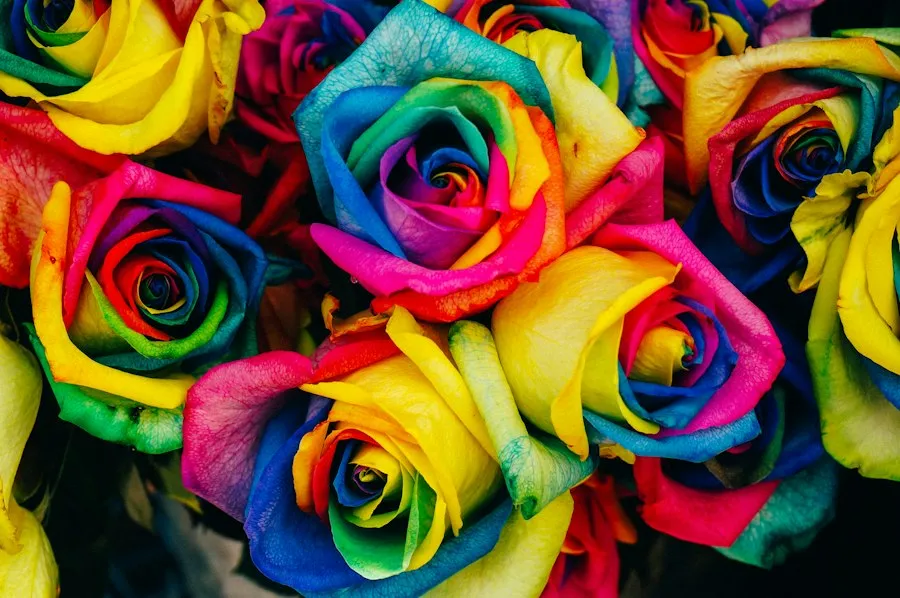Photo color psychology effects emotions
